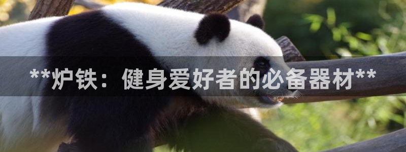 意昂3娱乐网站:**炉铁:健身爱好者的必备器材**