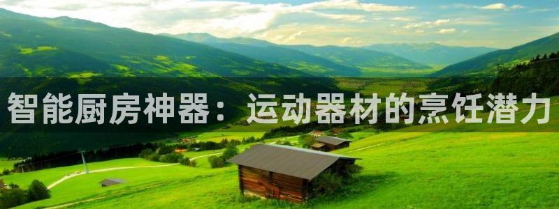 意昂3新能源:智能厨房神器:运动器材的烹饪潜力