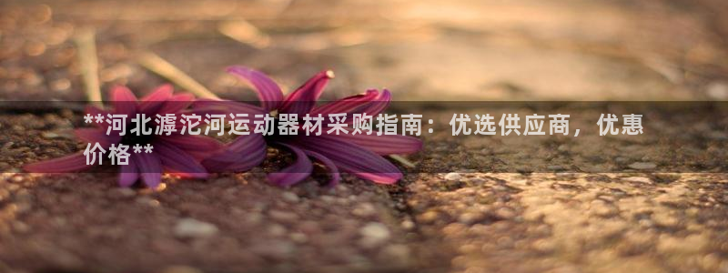 意昂体育3是干嘛的公司:**河北滹沱河运动器材采购指南:优选